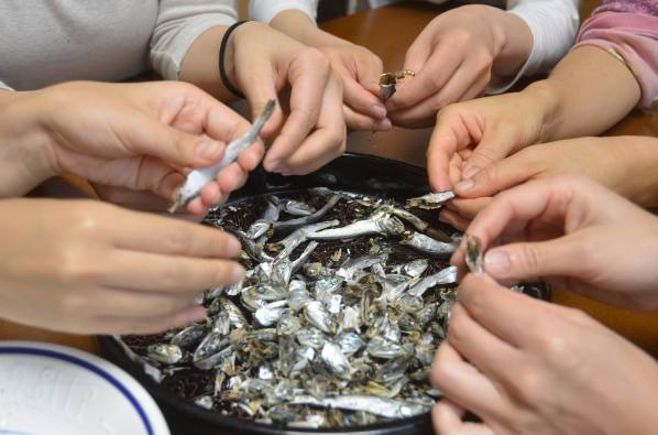 22219300_1433428966754068_979477090_o