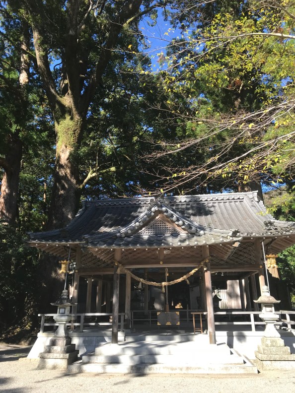 A5591144-442D-497A-BB44-EDD6421EDD96